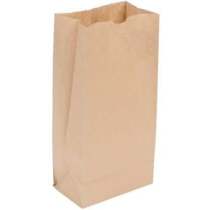 NO. 20 BROWN PAPER BAG